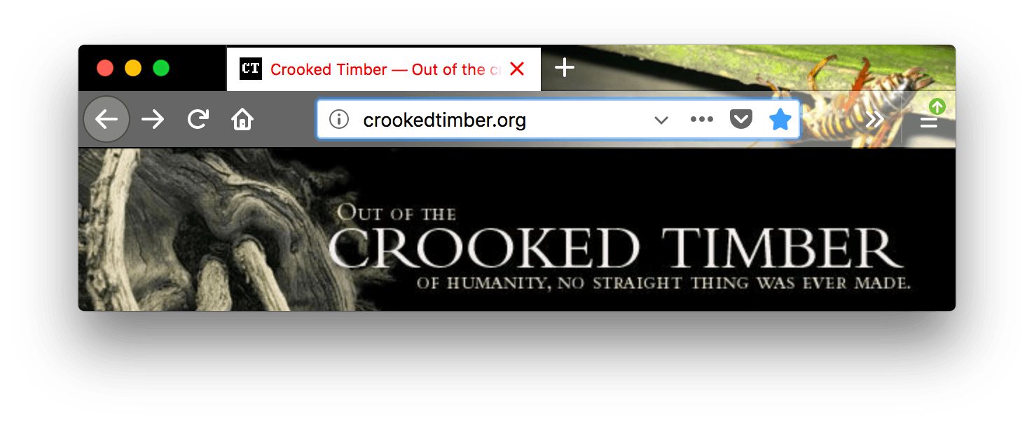 Browser firefox has a picture of an insect theme. URL bar is lighter gray with white icons. The selected tab text is red with white background.